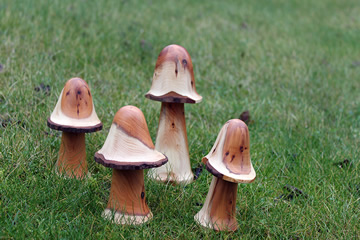 A selection of mushrooms made from Yew.