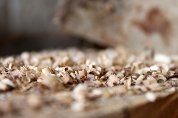 Wood shavings